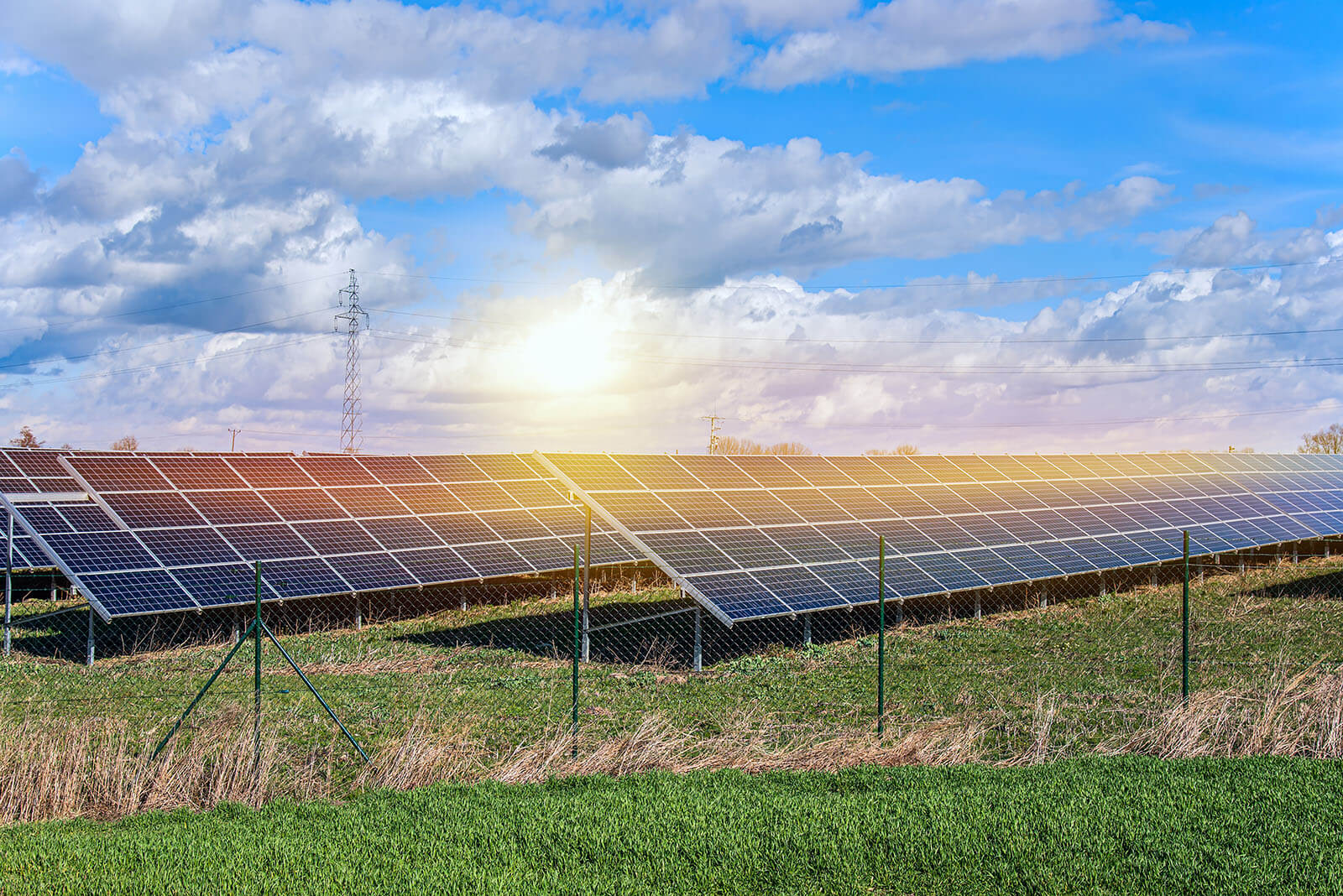 Case Study - Solar Energy